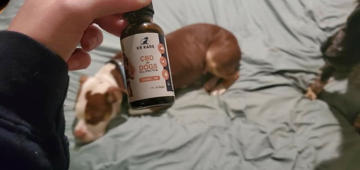 K9 Kare CBD Full Spectrum Oil